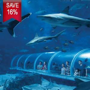 Mastercard® Exclusive: S.E.A. Aquarium with The Maritime Experiential Museum Adult One-Day Tickets (Save 16%) Mastercard® Exclusive: S.E.A. Aquarium with The Maritime Experiential Museum Adult One-Day Tickets (Save 16%)